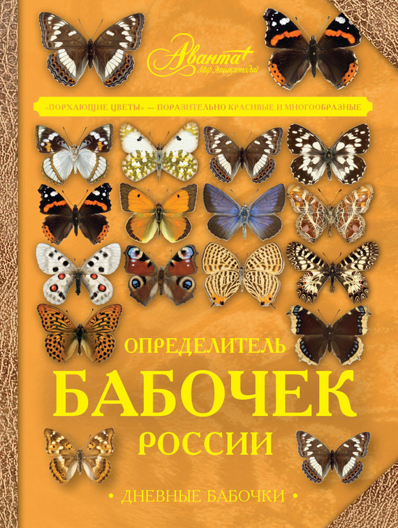 Скачать Определитель бабочек России. Дневные бабочки быстро