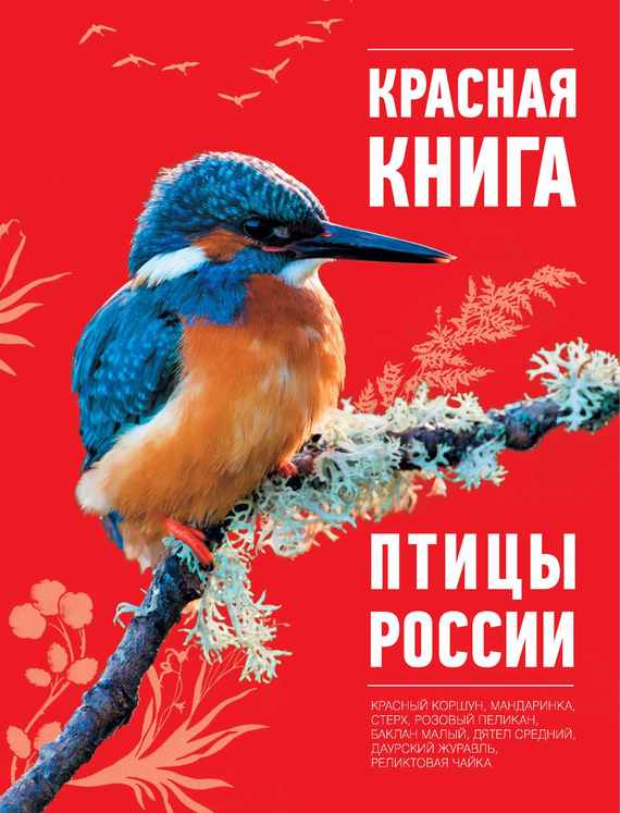 Скачать Красная книга. Птицы России быстро