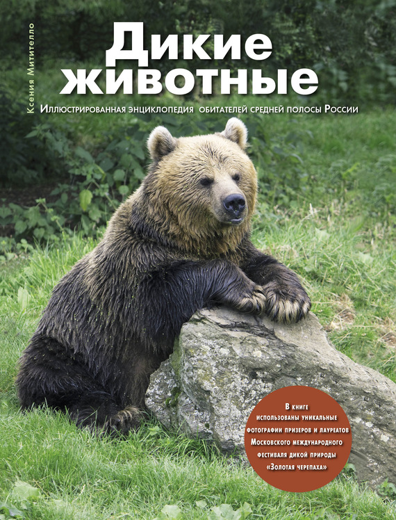 Скачать Дикие животные. Иллюстрированная энциклопедия обитателей средней полосы России быстро