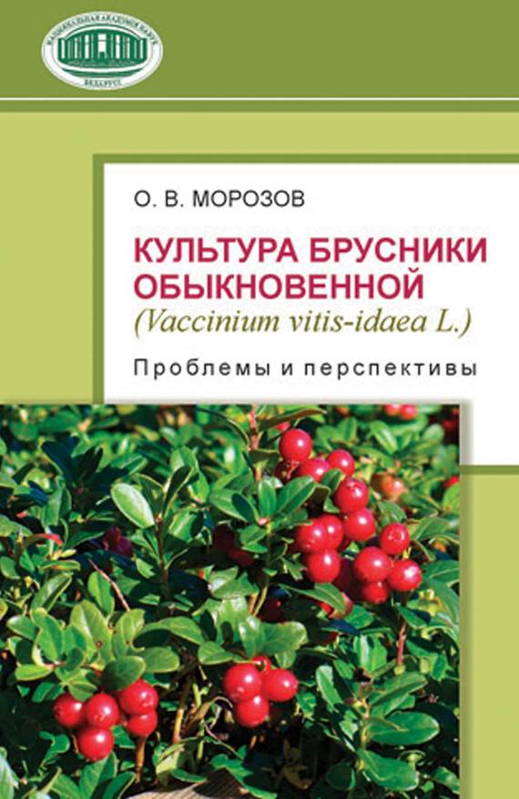 Скачать Культура брусники обыкновенной (Vaccinium vitis-idaea L.): проблемы и перспективы быстро