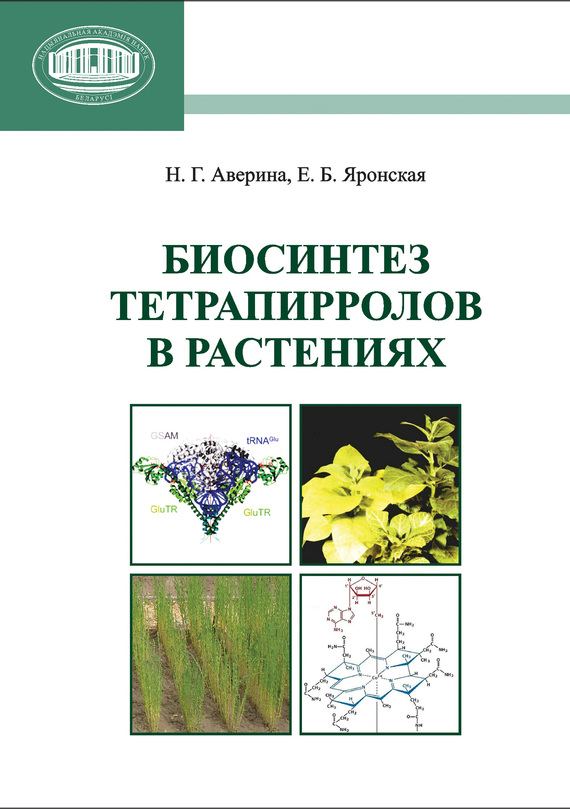 Скачать Биосинтез тетрапирролов в растениях быстро