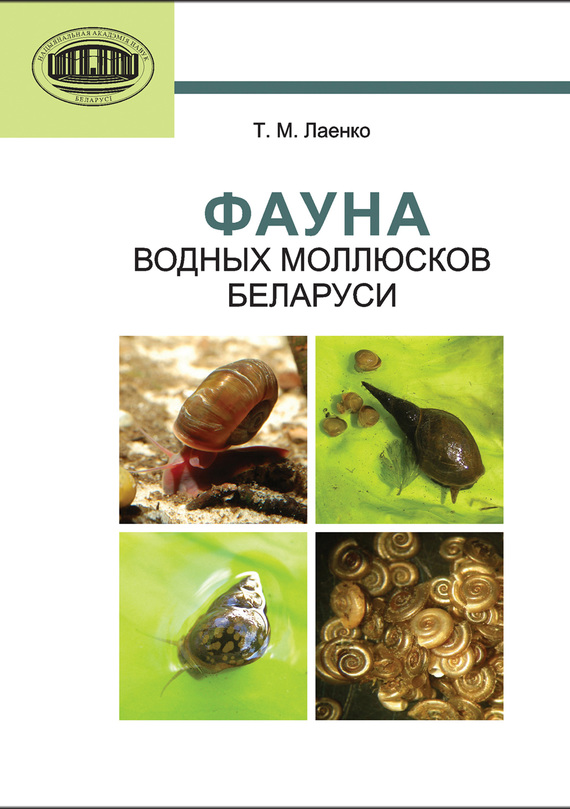Скачать Фауна водных моллюсков Беларуси быстро