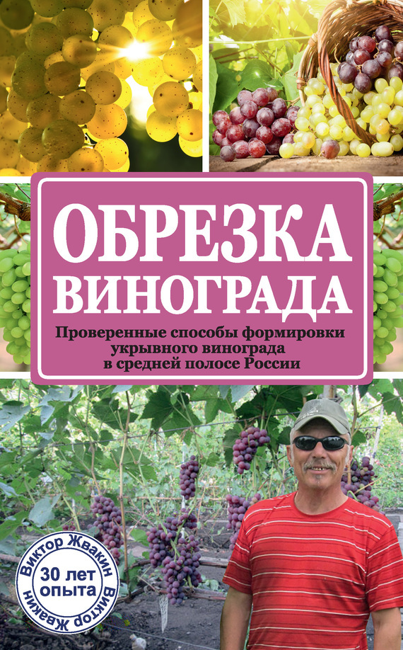Скачать Обрезка винограда. Проверенные способы формировки укрывного винограда в средней полосе России быстро