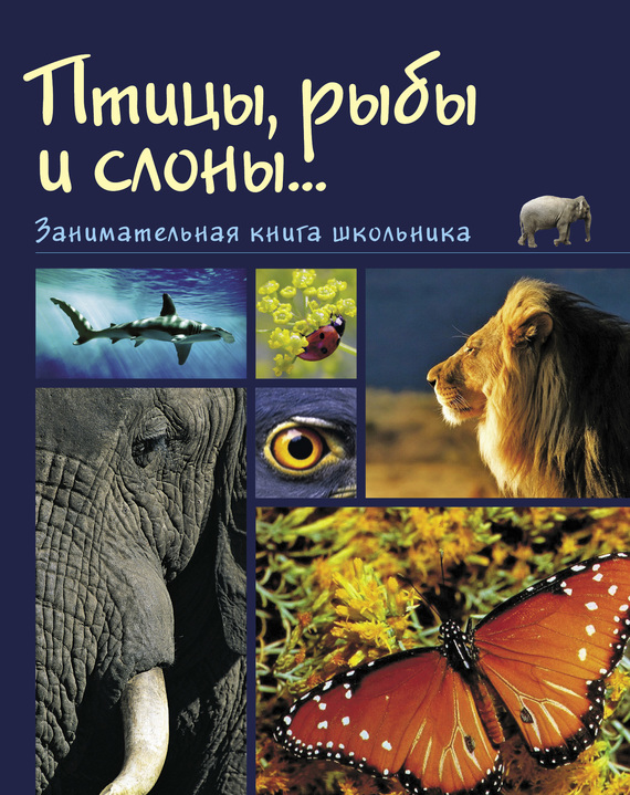 Скачать Птицы, рыбы и слоны Занимательная книга школьника быстро