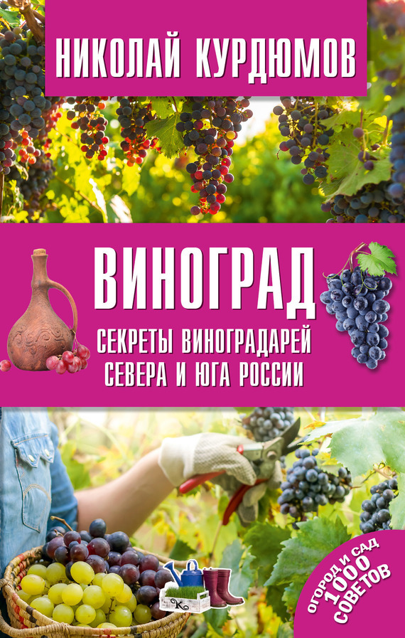 Скачать Виноград. Секреты виноградарей севера и юга России быстро