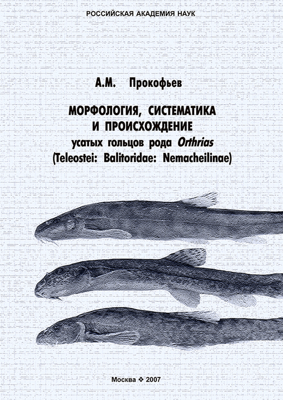 Скачать Морфология, систематика и происхождение усатых гольцов рода Orthrias (Teleostei: Balitoridae: Nemacheilinae) быстро